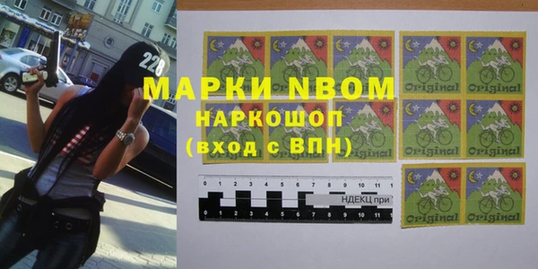стаф Новокубанск