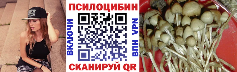 Галлюциногенные грибы мицелий  Камышлов 
